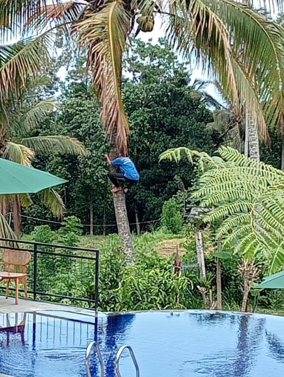 Sekumpul Bali Hidden Space Singaraja  Ngoại thất bức ảnh