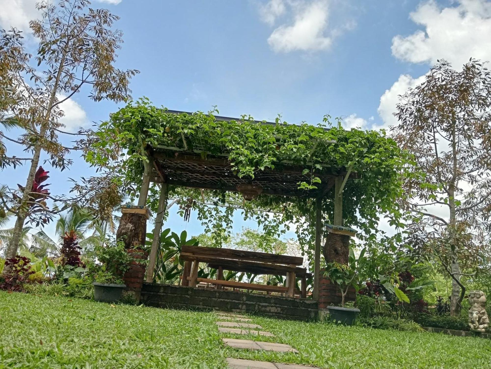 Sekumpul Bali Hidden Space Singaraja  Ngoại thất bức ảnh